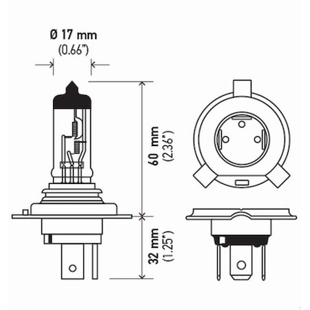 Hella Bulb H4 12V 60/55W P43T T4.625 +50(2) Bulbs, H4P50Tb H4P50TB